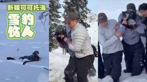 抖音热瓜！新疆可可托海 雪豹伤人现场视频流出 滑雪妹子瞬间被扑倒 头盔挡住致命一咬！